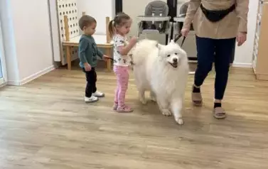COIH7068